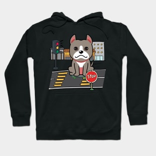 Cute grey dog is skate boarding on the street Hoodie